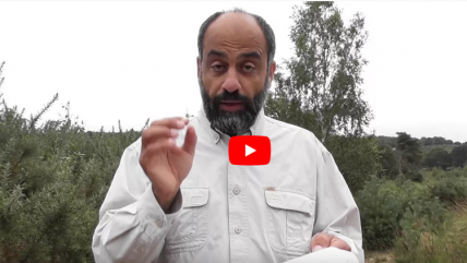 نقض أدلة صدق مؤسس الأحمدية الحلقة 4